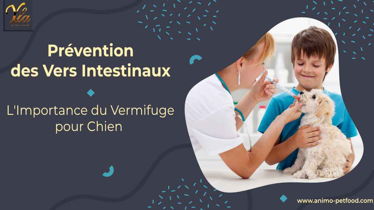 prevention-des-vers-intestinaux-l-importance-du-vermifuge-pour-chien